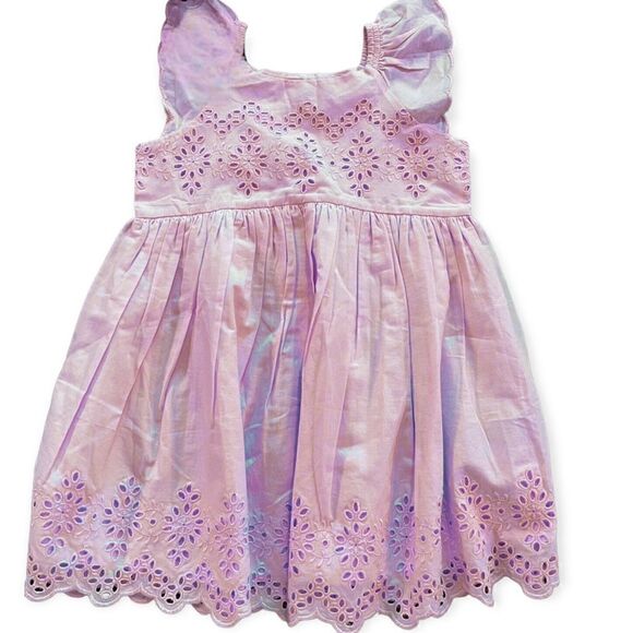 BABY GAP FLUTTER SLEEVE EYELET LACE PASTEL PINK TODDLER DRESS 4 - Picture 3 of 8